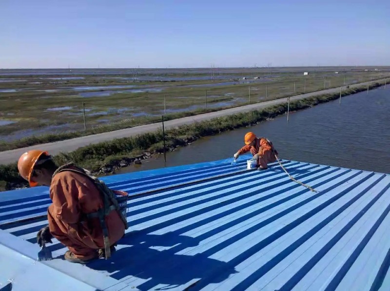 乐陵彩钢瓦屋面防腐翻新